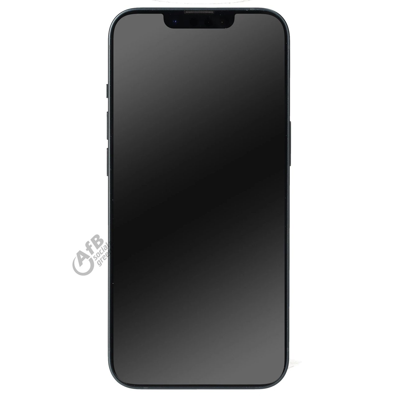 Apple iPhone 13 mini – Gut