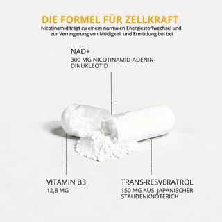 NAD Plus 120 Stück · Produktbild 5