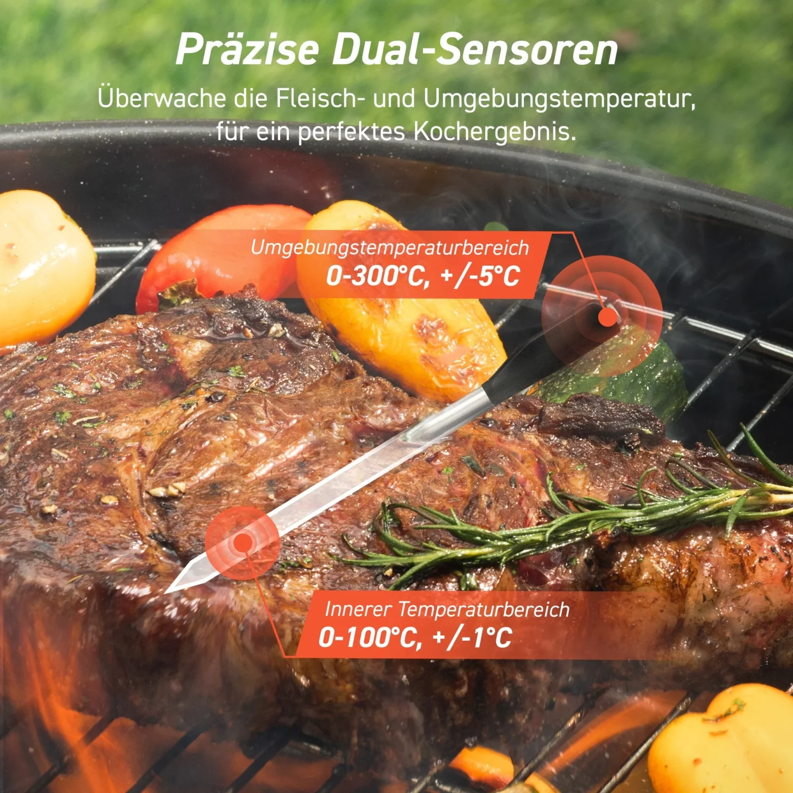 COSORI Smartes Fleischthermometer · COSORI · COSORI DE · Produktbild 4