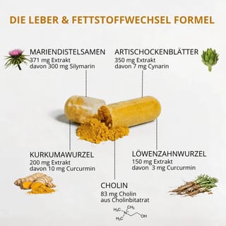 Leber Plus 360 Stück · Produktbild 5