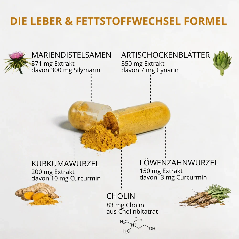Leber Plus 120 Stück · Produktbild 4
