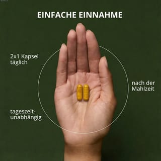 Leber Plus 120 Stück · Produktbild 5